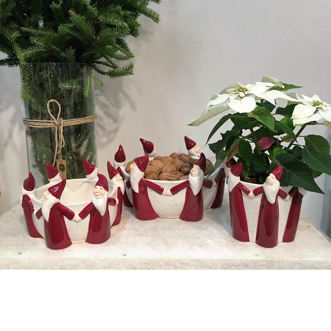 amaryllis fat – Greenspire Trädgårdskonsult
